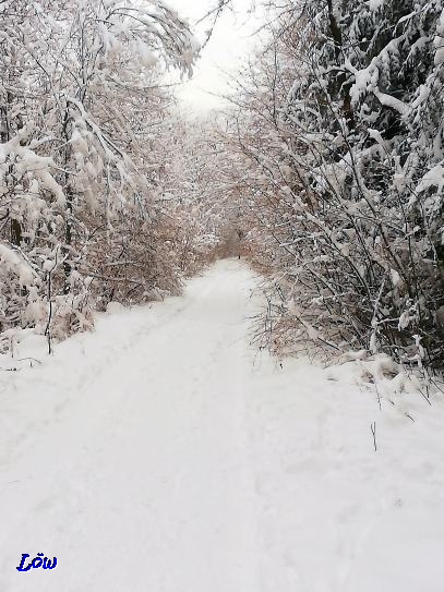 17.12.2018 - Gießhübl - Kleine Runde